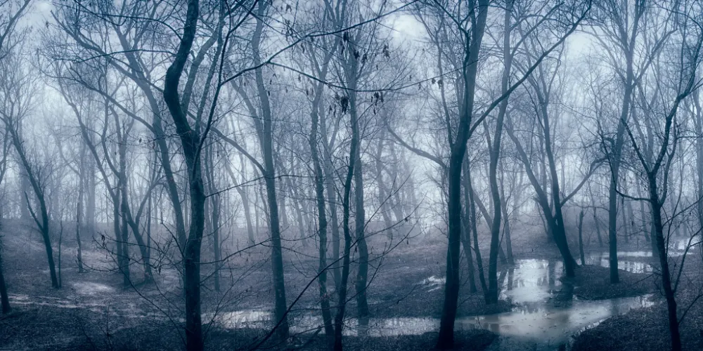 Here's a list of Marinalife's top five haunted boat attractions to enjoy this ghoulish season.